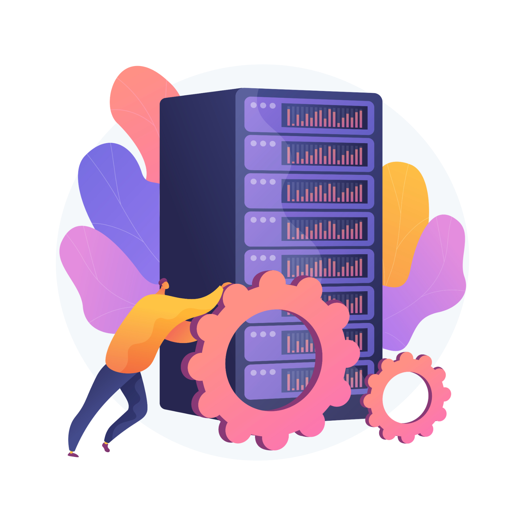 Dedicated Server Price